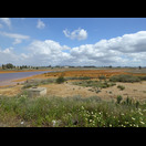 Das Mündungsgebiet des Río Tinto